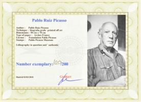 Pablo Picasso (1881-1973): Akt. Ofszet litográfia, papír. Sorszámozott 100/200.Jelzett a nyomaton. T...