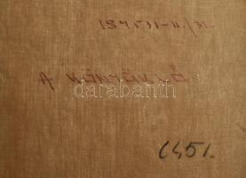 Jelzés nélkül: Kalapos hölgy portréja. Olaj, vászon. Felületi sérüléssel. 70x50 cm