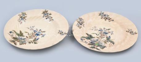 Fischer Ignác fajansz lapos és mély tányér . Össz 2 db. Máz alatti festés jelzett, kisebb sérülésekkel d 25,5 cm
