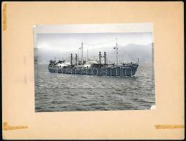 cca 1960 Dunaújváros tengerjáró hajó fotója, karton, a fotón nyomdai kerettel (?), az egyik felső és alsó sarkán kis sérüléssel, 13x17 cm