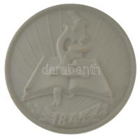 DN TIT (Tudományos Ismeretterjesztő Társulat) 1841 porcelán plakett dísztokban (82mm) T:AU