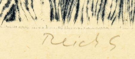 Reich Gábor (1951-): Őszi éj. Rézkarc, papír. Jelzett. Számozott: 34/100. Üvegezett fakeretben. 29,5...