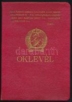 1955 Tatabánya Hunyadi János lövész tiszti továbbképző iskola századparancsnoki bizonyítvány betétla...