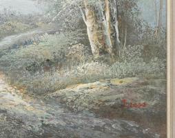 Inese jelzéssel: Ház a tájban. Olaj, vászon, jelzett. Fakeretben, 53x60 cm