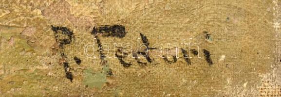 P Fedori (?) jelzéssel, XIX sz. vége/XX. sz. eleje: Napfényes itáliai vízpart. Olaj, vászon. 42x52,5...