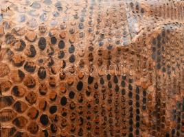 Óriáskígyó bőre kikészítve 440 cm