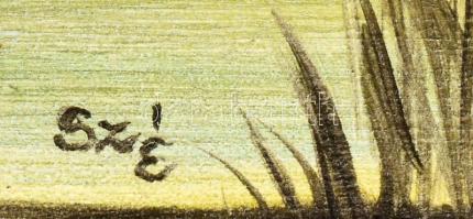 Sztankó Éva (?-): Balatoni fények. Olaj, farost. Jelzett. 10x30 cm. Dekoratív fakeretben