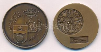 Fritz Mihály (1947-) 1986. "150 éves a Makói Városi Tanács épülete" kétoldalas bronz emlék...