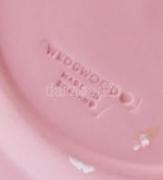 Wedgewood porcelán tányér plasztikus díszítéssel biszkvit d: 11 cm