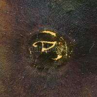 Tóbiás Klára (1945-): Páncél nyeregben. Tűzzománc, fém lemez, jelzett, , fa keretben, 19x21 cm