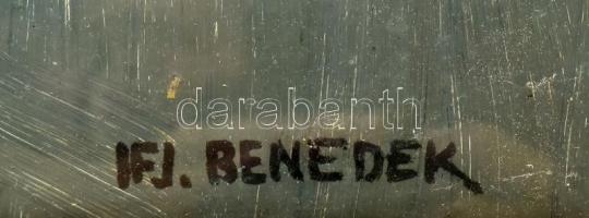 ifj. Benedek Jenő (1939-2019): Tájkép. Olaj, farost, jelzett, üvegezett keretben 60x80 cm