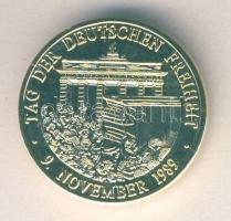 Németország DN "A német szabadság napja" aranyozott ffm emlékérem tanúsítvánnyal T:PP