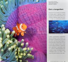 Károlyi Eszter (ford.): Az állatok és növények világa. Bratislava, 2005. Fortuna print. Kiadói karto...