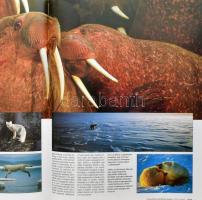 Károlyi Eszter (ford.): Az állatok és növények világa. Bratislava, 2005. Fortuna print. Kiadói karto...