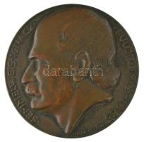 Szántó Gergely (1886-1962) DN "Semmelweis Ignácz Fülöp 1818-1865 / Az anyák megmentője" kétoldalas öntött bronz plakett (65mm) T:AU,XF patina