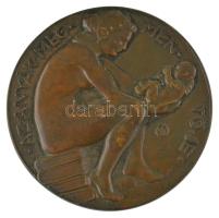 Szántó Gergely (1886-1962) DN "Semmelweis Ignácz Fülöp 1818-1865 / Az anyák megmentője" ké...