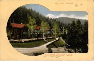 1910 Thurzófüred, Kupele Turzo (Gölnicbánya, Gelnica); Bányász nyaraló. Feitzinger Ede No. 734d. / villa (EK)