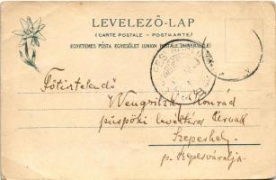 Savnik, Schavnyik, Spissky Stiavnik; Savnikvár a szepesi püspök nyaralója. Feitzinger Ede 1902/12. /...