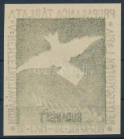 1937/3a Bélyeggyűjtők Lapja Propaganda Tárlata emlékív gépszínátnyomat / souvenir sheet with mashine offset