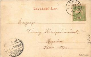 1905 Előpatak, Valcele; Villa Otroban / villa, spa (ázott / wet damage)