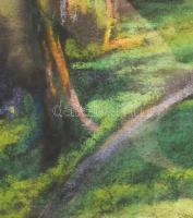 Rónai Géza (1886-1944): Erdélyi falu. Pasztell, papír, jelzett, üvegezett keretben, 37x44 cm / Géza ...