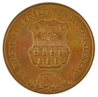 1989. "Temesvár 1514,1989 / Ne hagyd el Erdélyt, Erdélyt Istenem" aranyozott fém emlékérem...