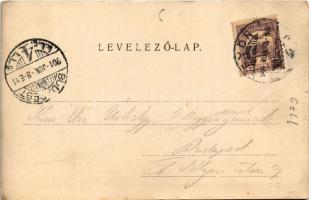 1901 Győr, Rába torkolat. Berecz Viktor kiadása (kis szakadás / small tear)