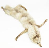 Róka szőrme, jó állapotban, h: cca 110 cm