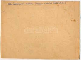 cca 1910 Katalinfalva (Kathreinfeld/Ravni Topolovac), méhészkedő család, fotó kartonon, a fotó felül...