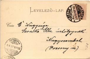 1899 (Vorläufer) Budapest V. Eötvös szobor, Magyar-Francia Biztosító (EK)