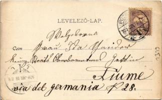 1900 Budapest XIII. Margitszigeti vízesés. Divald Károly 34. sz. (EB)