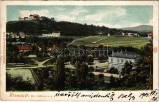 1901 Brassó, Kronstadt, Brasov; Der Schlossberg / Fellegvár / Dealul Straji (EK)