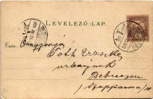 1901 Brassó, Kronstadt, Brasov; Der Schlossberg / Fellegvár / Dealul Straji (EK)