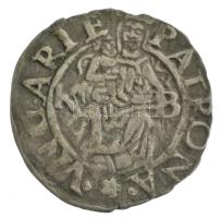 1575K-B Denár Ag "Miksa" (0,59g) T:XF patina Hungary 1575K-B Denar Ag "Maximilian&quo...