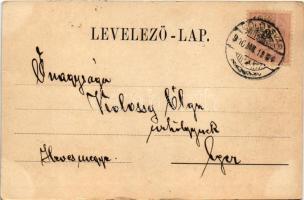 1900 Kolozsvár, Cluj; Magyar utca, Központi szálloda, Medgyesy és Nyegrutz, Biasini Sándor üzlete. K...