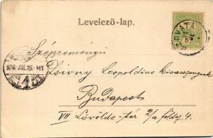 1904 Szováta, Sovata; Vörös sóstó a tiszta sóhegyekkel. Weinrich S. felvétele / salt lake with salt ...