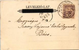 1900 Nagymaros, Nagy-Maros látképe, gőzhajó. Ifj. Heinczinger Mihály kiadása (EB)