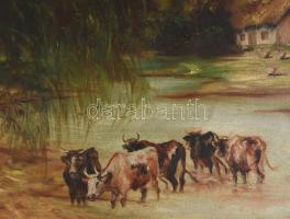 Markovits István (1892-?): Ökrök a folyóban. Olaj, vászon, jelzett, Kis felületi sérülésekkel.. 60x8...