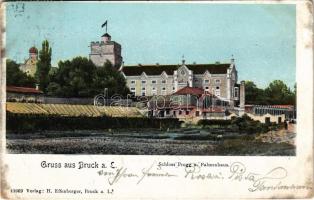 1903 Lajtabruck, Bruck an der Leitha; Schloss Prugg und Palmenhaus. H. Effenberger / Harrach (Prugg) kastély, Pálmaház / castle, palm house (EK)