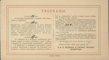 1892 Meghívó selmecbányai Bányászati és Erdészeti Akadémia új épületének felavatására az ünnepély programjával / Invitation card for the inaguration of the new building of the Banská Štiavnica mining academy 18x10 cm