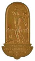 1934. Tornász Világbajnokság Budapest 1934 aranyozott bronz gomblyukjelvény Cserkészbolt V. N Sándor u.6. gyártói jelzéssel (30x16mm) T:AU