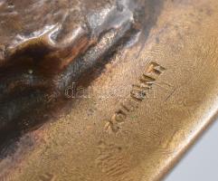 Őskori fosszília. Emlős megkövesedett foga. Zoltán Tamás ötvős művész által bronzba foglalva rusztik...