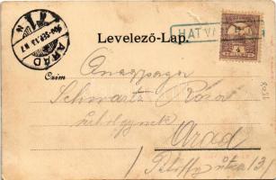 1900 Hatvan, Takarékpénztár, Posta és távirda hivatal. Hoffmann M. L. kiadása (b)