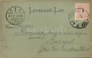 1898 (Vorläufer) Budapest, Lánchíd, látkép a királyi palotától (EK)