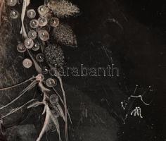 Szász Endre (1926-2003): Büszkeség és balítélet. Olaj, farostlemez, jelzett. Dekoratív fakeretben, b...