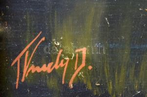 2 db T. Krudy D. jelzésű tájkép, olaj, karton. üvegezett keretben 34x48 cm