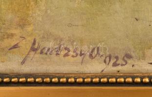 Z. Hadzsy Olga (Budapest, 1880-?): Balatoni kikötő. Olaj, farost, jelzett, hátoldalán kiállítási cím...