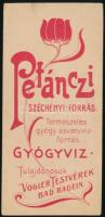 cca 1910-1920 Petánczi Széchényi-forrás gyógyvíz, szecessziós számolócédula