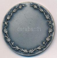 DN "Alba Regia" ezüstpatinázott bronz kitüntető érem (46mm) T:AU
