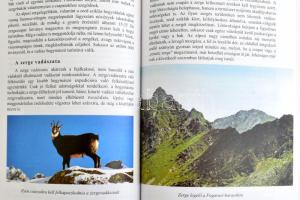 Deák István: Az apróvad és vadászata Erdélyben. Gyöngyös,2005,Pallas Antikvárium. Szövegközti színes...